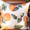 Citrus Gathering Scatter Cushion Cover Outside